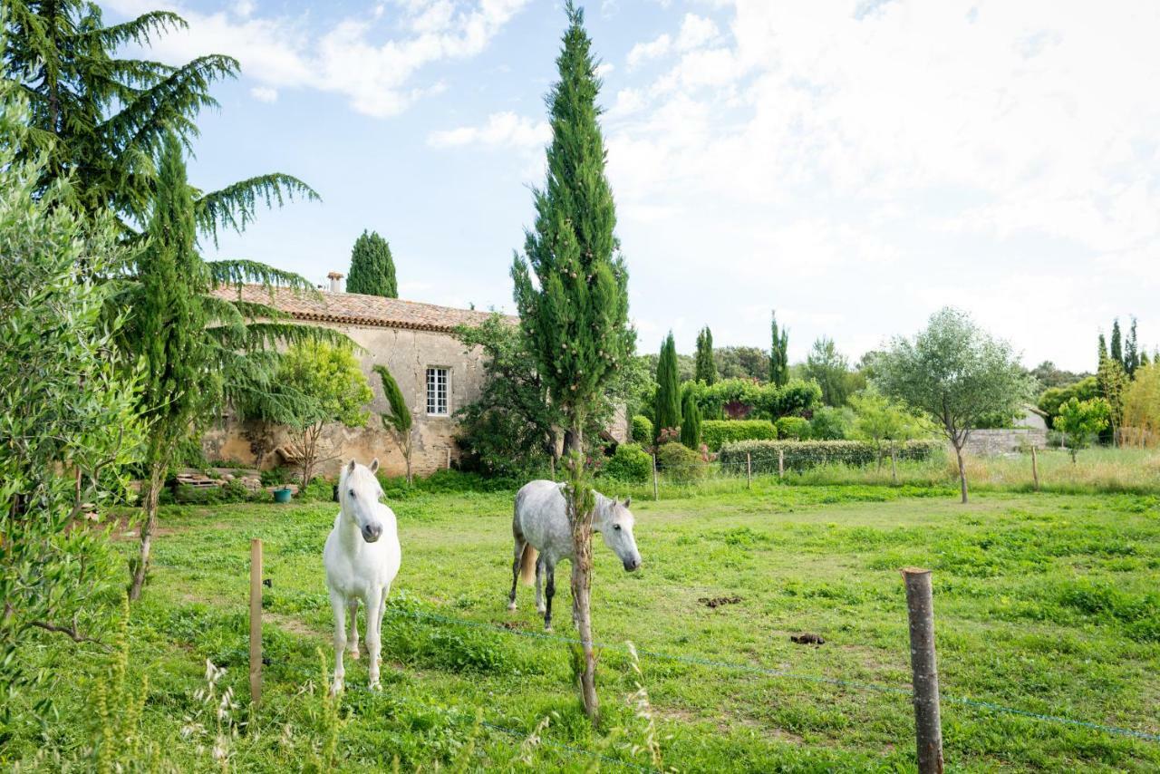 Mas De La Rivoire B&B Villevieille Экстерьер фото